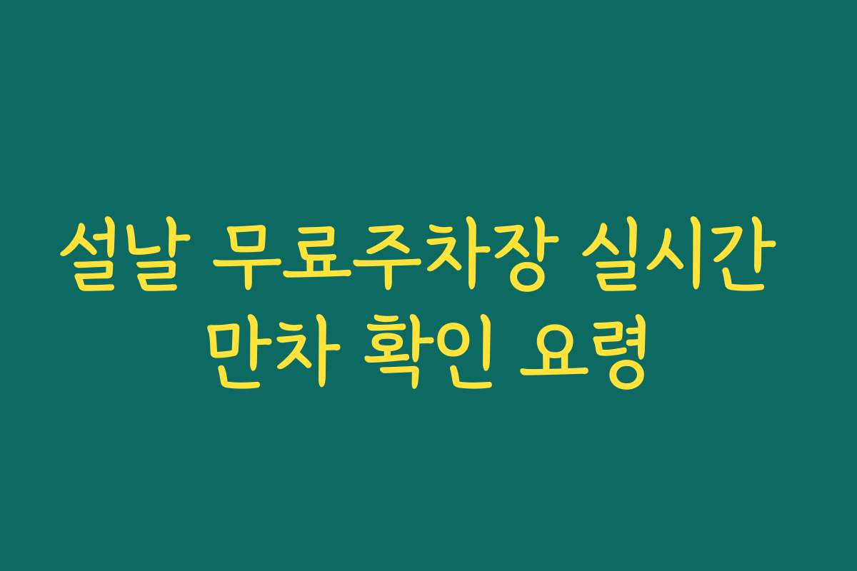 설날 무료주차장 실시간 만차 확인 요령 설날 무료주차장 실시간 만차 확인 요령