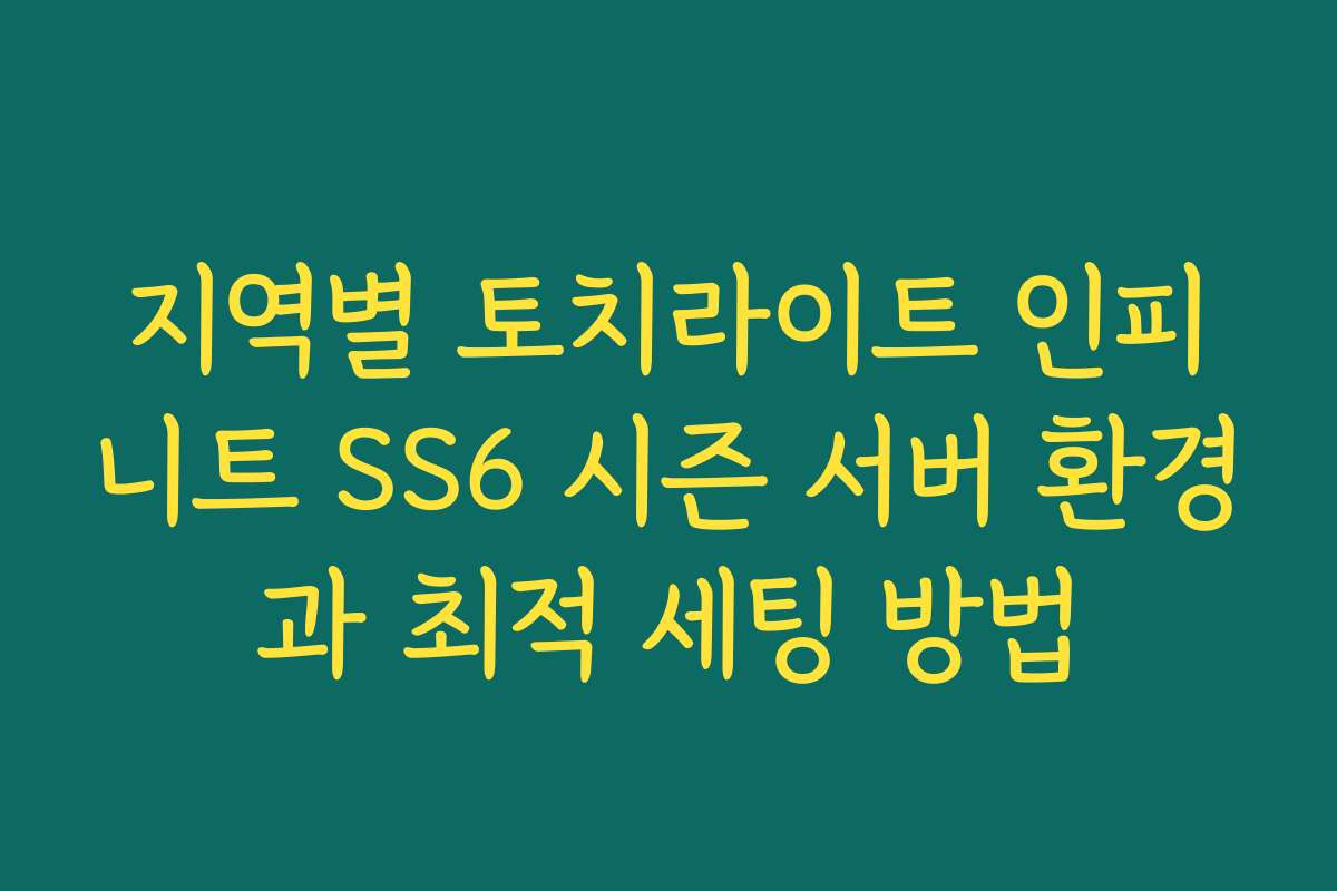 지역별 토치라이트 인피니트 SS6 시즌 서버 환경과 최적 세팅 방법