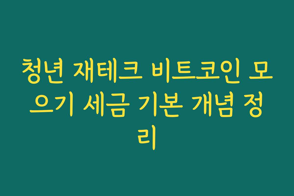 청년 재테크 비트코인 모으기 세금 기본 개념 정리 청년 재테크 비트코인 모으기 세금 기본 개념 정리