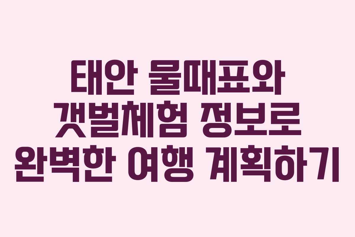 태안 물때표와 갯벌체험 정보로 완벽한 여행 계획하기 태안 물때표와 갯벌체험 정보로 완벽한 여행 계획하기