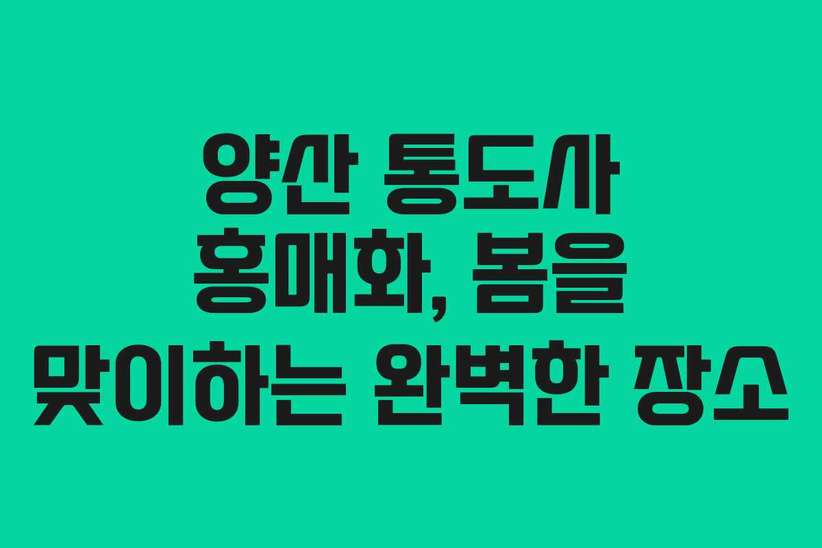 양산 통도사 홍매화, 봄을 맞이하는 완벽한 장소