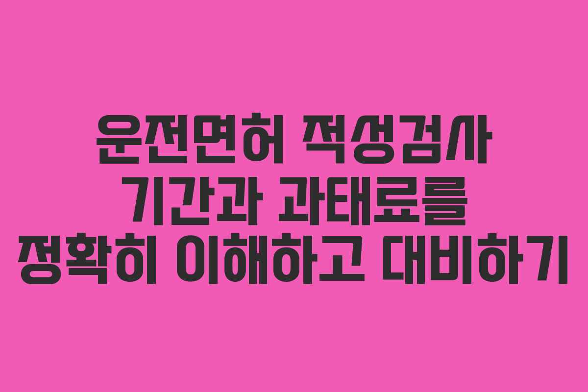 운전면허 적성검사 기간과 과태료를 정확히 이해하고 대비하기