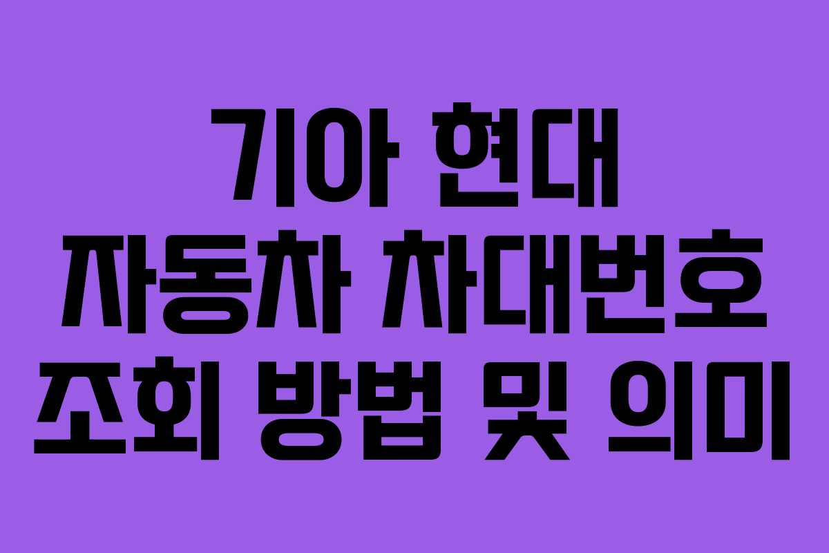 기아 현대 자동차 차대번호 조회 방법 및 의미