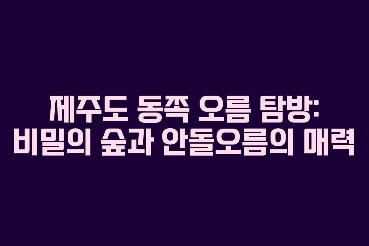 제주도 동쪽 오름 탐방: 비밀의 숲과 안돌오름의 매력
