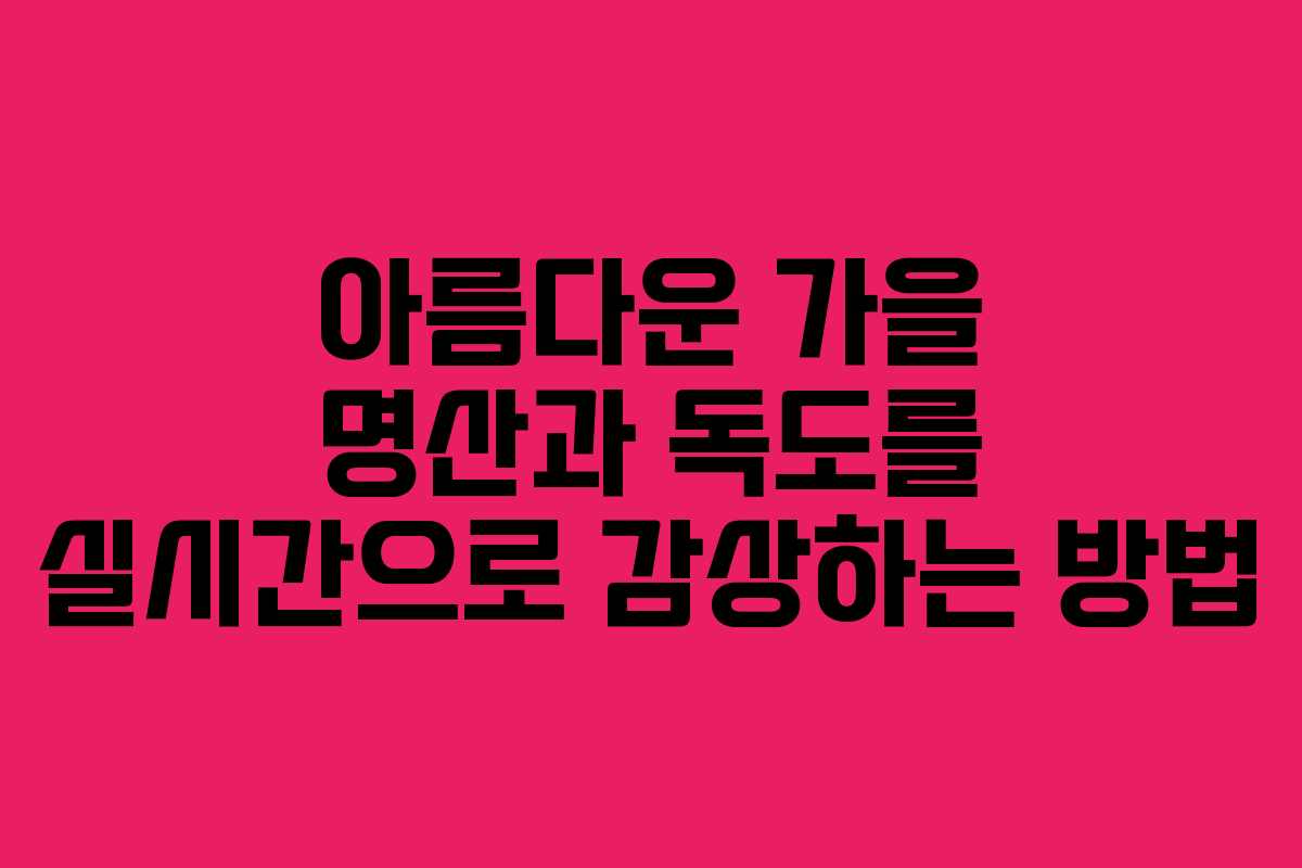아름다운 가을 명산과 독도를 실시간으로 감상하는 방법