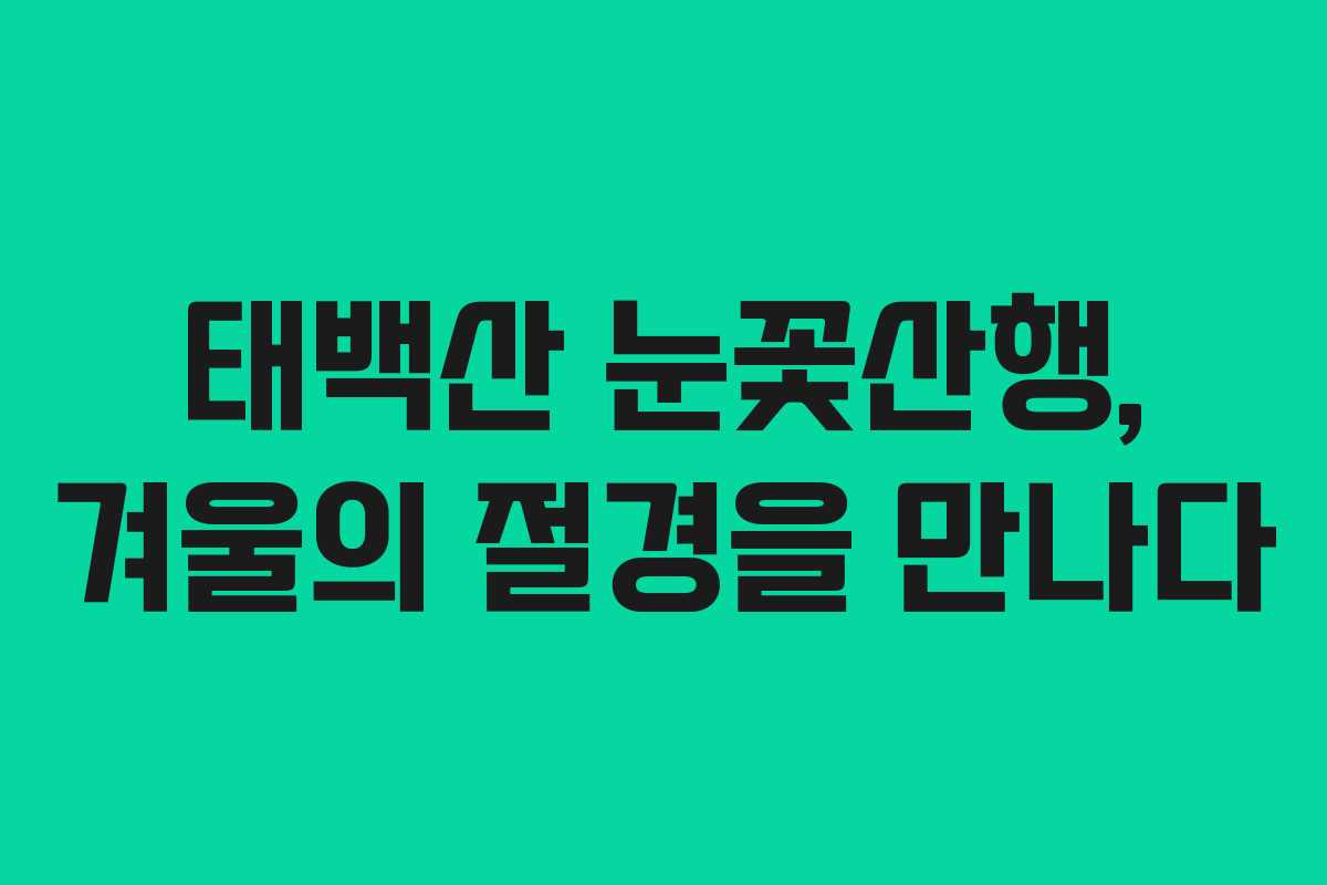 태백산 눈꽃산행, 겨울의 절경을 만나다