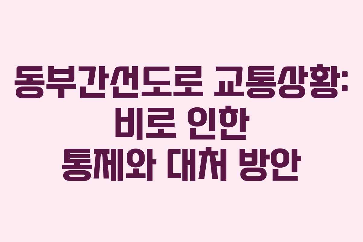 동부간선도로 교통상황: 비로 인한 통제와 대처 방안