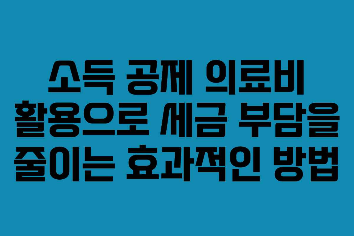 소득 공제 의료비 활용으로 세금 부담을 줄이는 효과적인 방법 소득 공제 의료비 활용으로 세금 부담을 줄이는 효과적인 방법