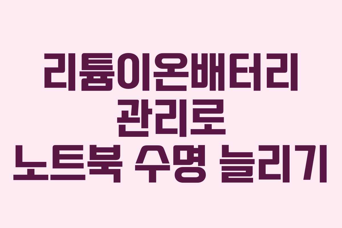 리튬이온배터리 관리로 노트북 수명 늘리기