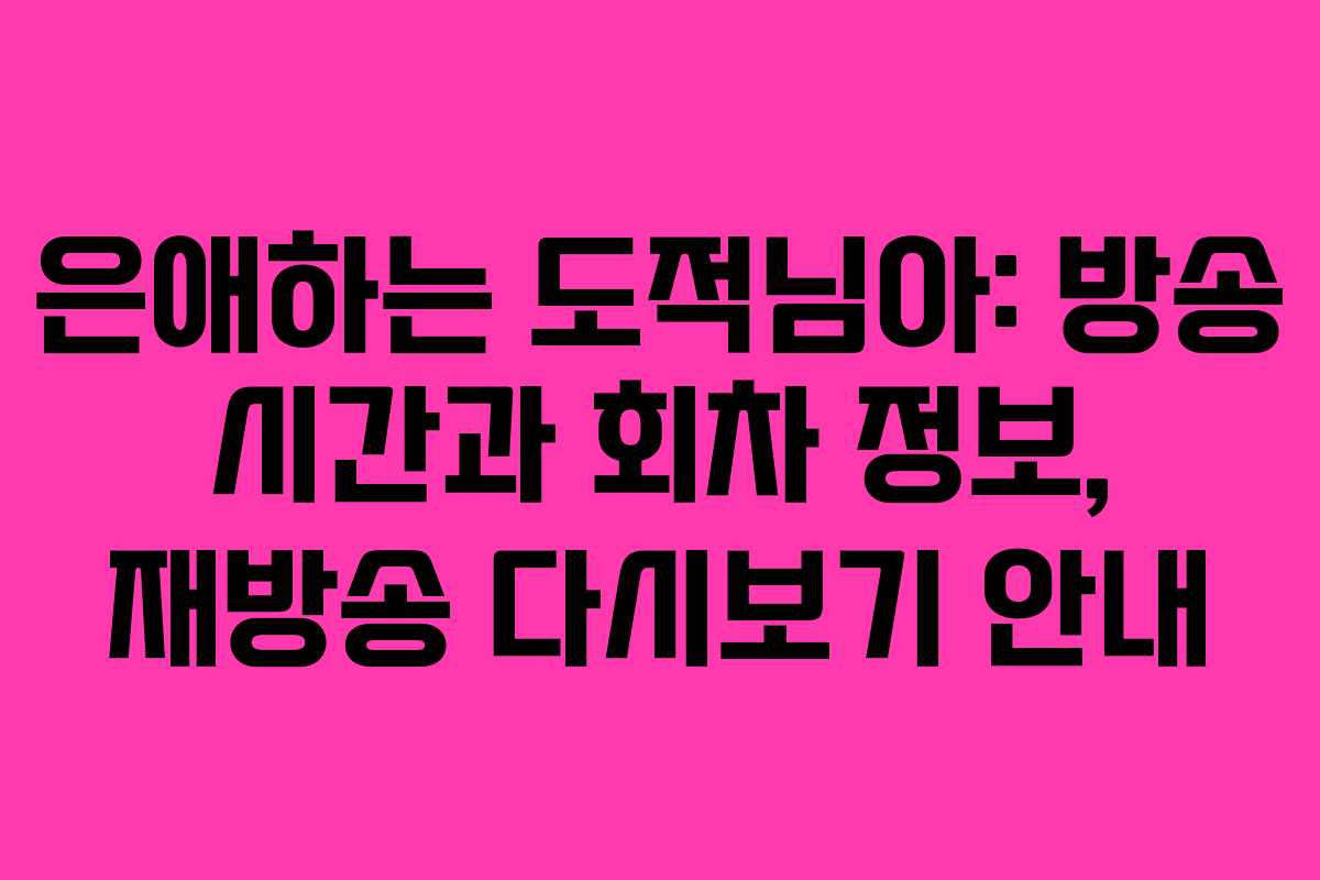 은애하는 도적님아: 방송 시간과 회차 정보, 재방송 다시보기 안내 은애하는 도적님아: 방송 시간과 회차 정보, 재방송 다시보기 안내