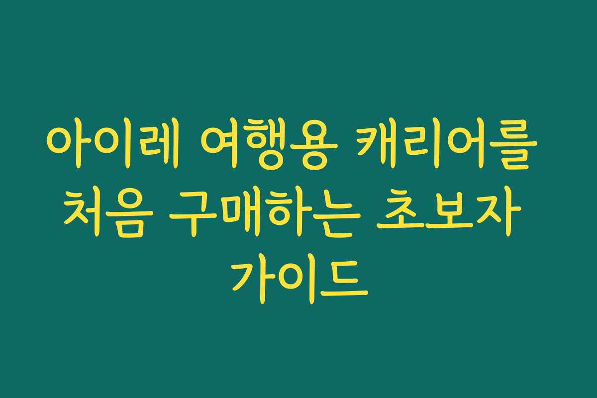 아이레 여행용 캐리어를 처음 구매하는 초보자 가이드