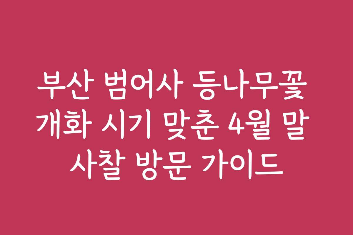 부산 범어사 등나무꽃 개화 시기 맞춘 4월 말 사찰 방문 가이드