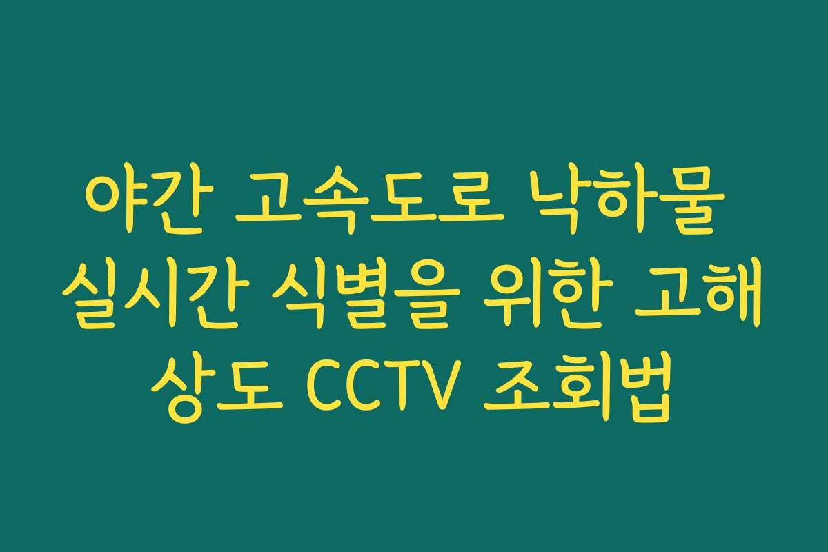 야간 고속도로 낙하물 실시간 식별을 위한 고해상도 CCTV 조회법 야간 고속도로 낙하물 실시간 식별을 위한 고해상도 CCTV 조회법