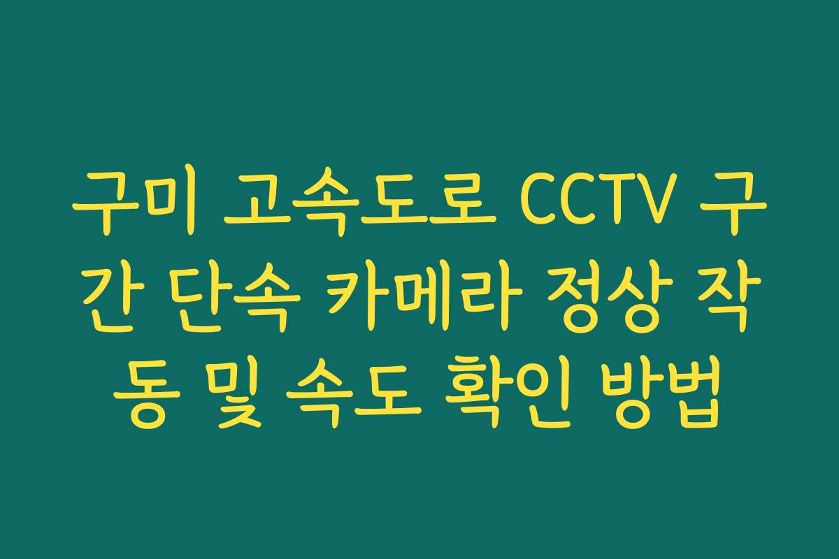구미 고속도로 CCTV 구간 단속 카메라 정상 작동 및 속도 확인 방법 구미 고속도로 CCTV 구간 단속 카메라 정상 작동 및 속도 확인 방법