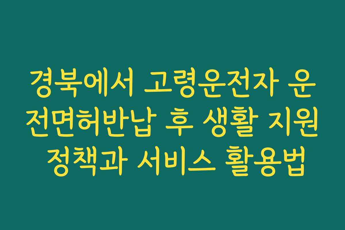 경북에서 고령운전자 운전면허반납 후 생활 지원 정책과 서비스 활용법