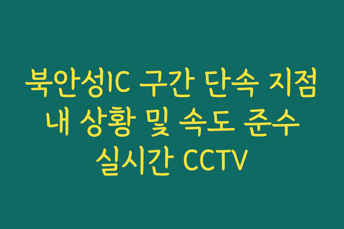 북안성IC 구간 단속 지점 내 상황 및 속도 준수 실시간 CCTV