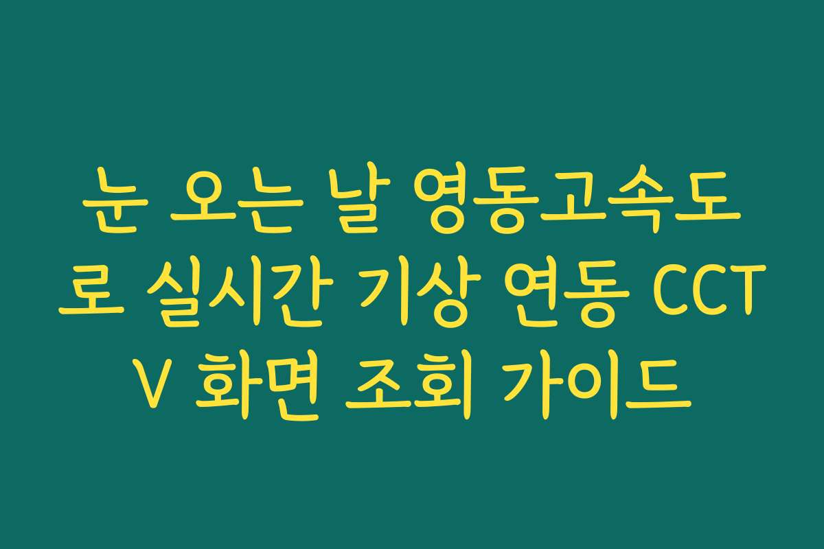 눈 오는 날 영동고속도로 실시간 기상 연동 CCTV 화면 조회 가이드