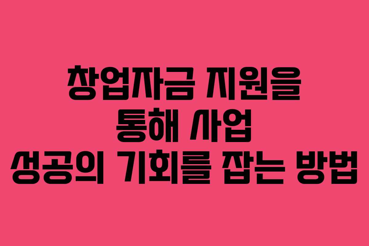 창업자금 지원을 통해 사업 성공의 기회를 잡는 방법 창업자금 지원을 통해 사업 성공의 기회를 잡는 방법