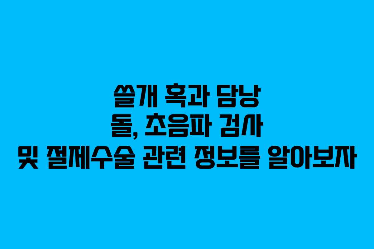 쓸개 혹과 담낭 돌, 초음파 검사 및 절제수술 관련 정보를 알아보자 쓸개 혹과 담낭 돌, 초음파 검사 및 절제수술 관련 정보를 알아보자