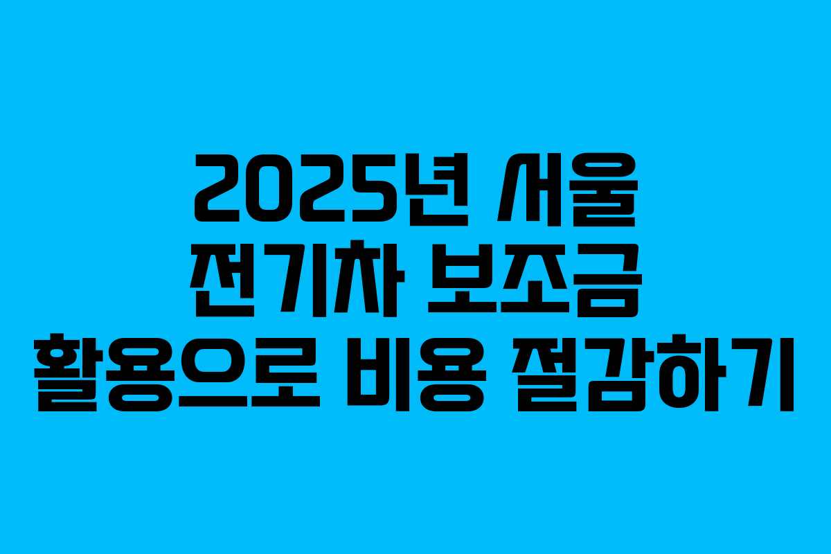2025년 서울 전기차 보조금 활용으로 비용 절감하기