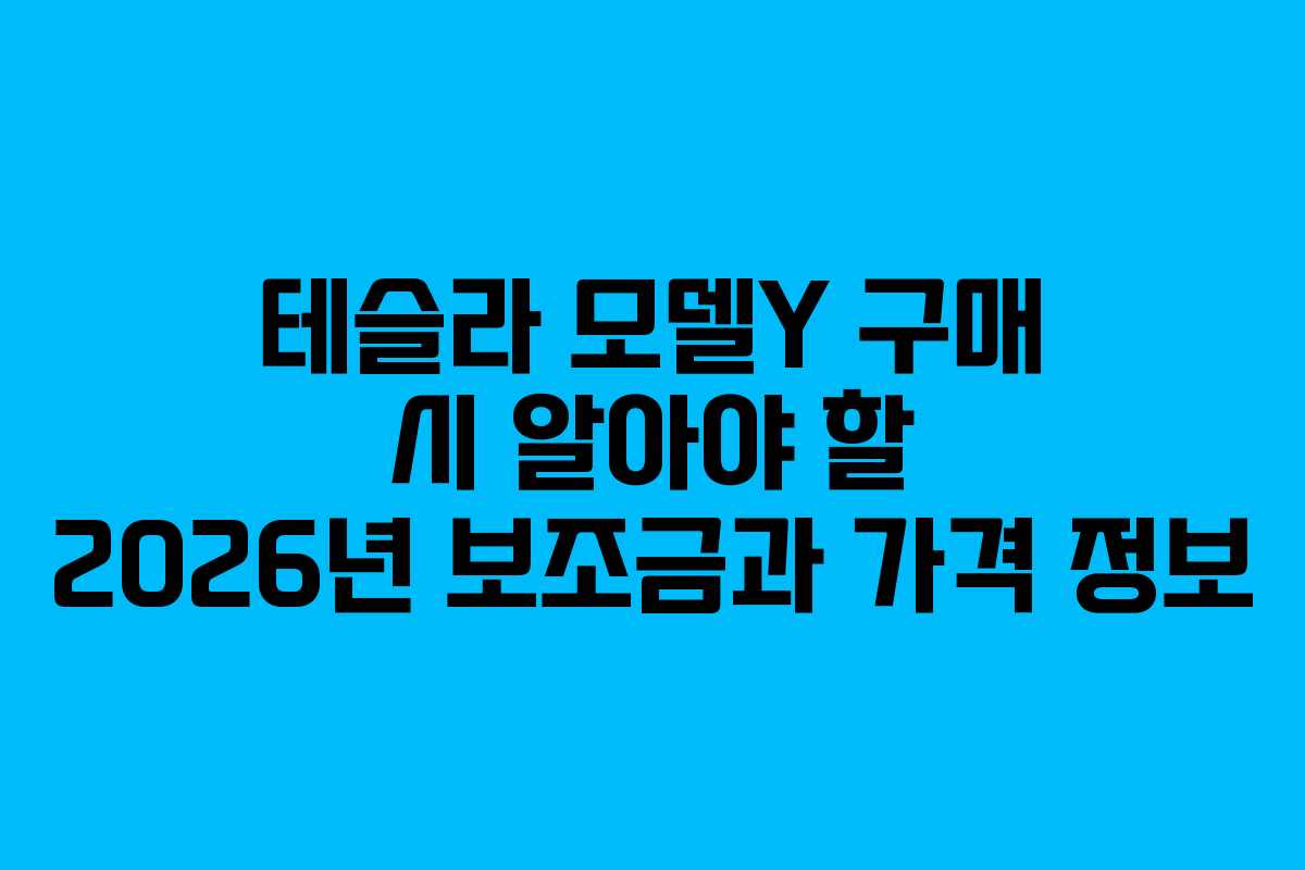 테슬라 모델Y 구매 시 알아야 할 2026년 보조금과 가격 정보