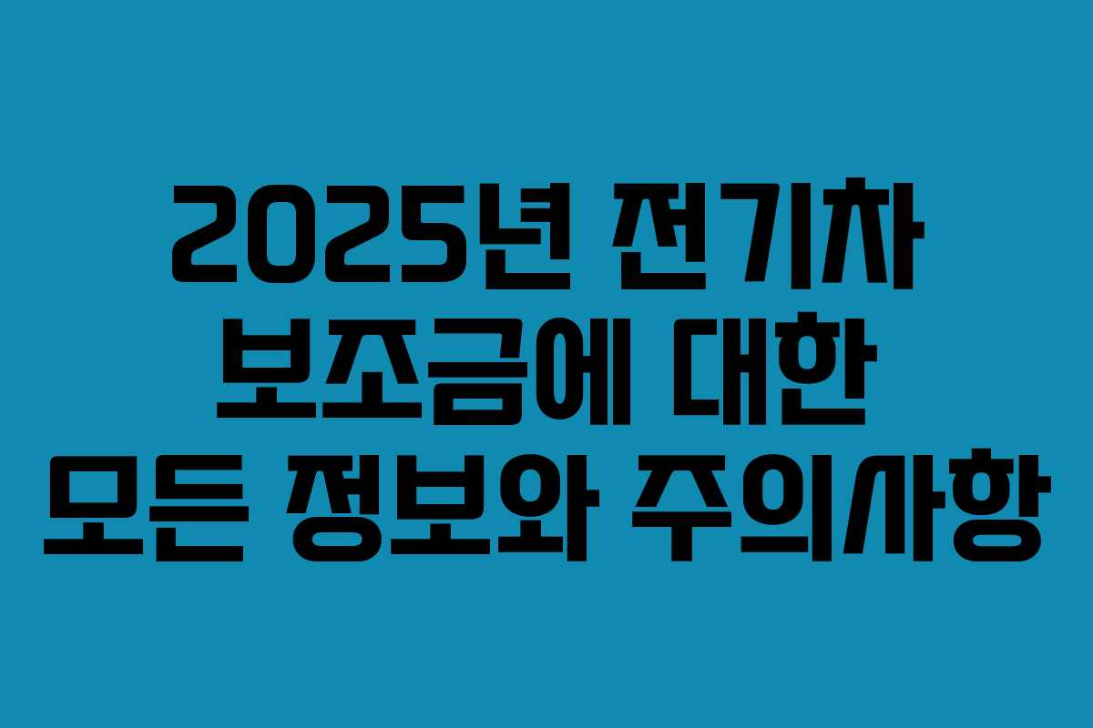 2025년 전기차 보조금에 대한 모든 정보와 주의사항