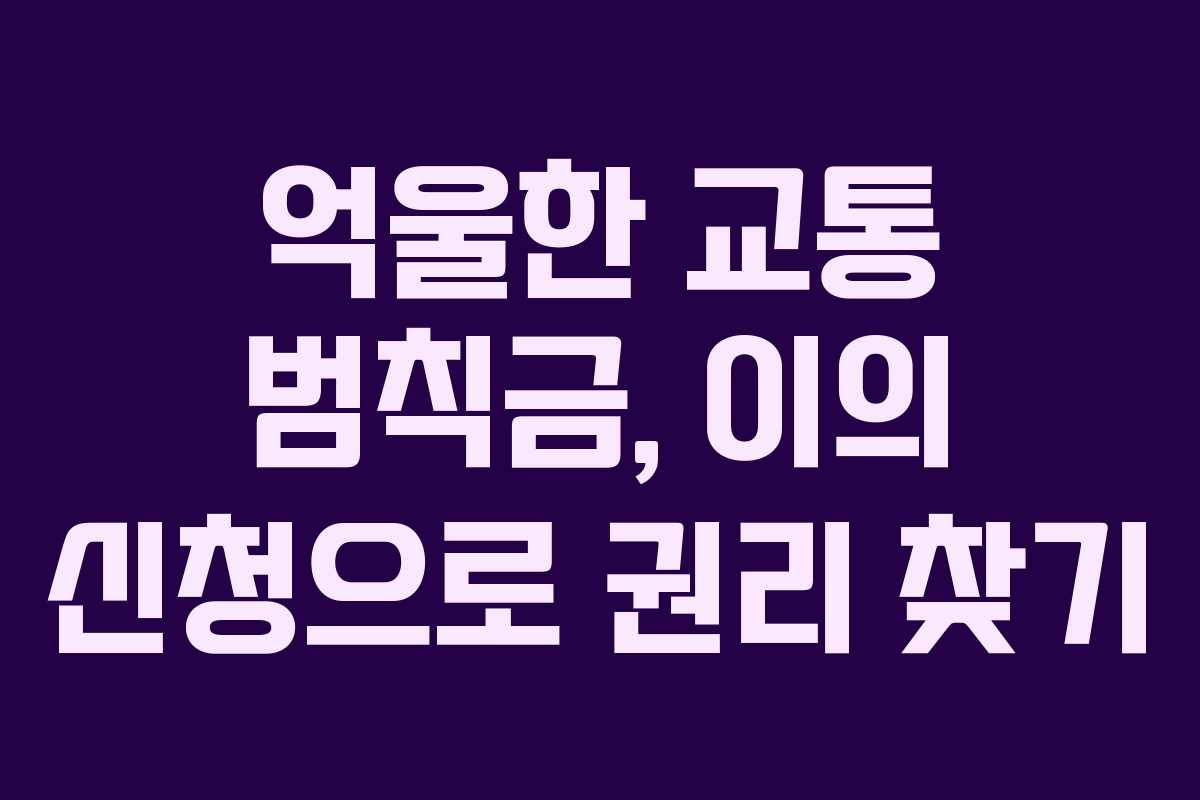 억울한 교통 범칙금, 이의 신청으로 권리 찾기