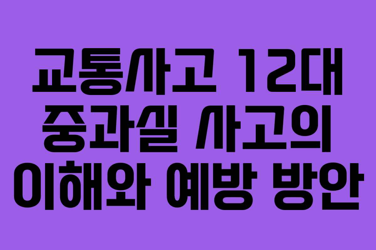교통사고 12대 중과실 사고의 이해와 예방 방안