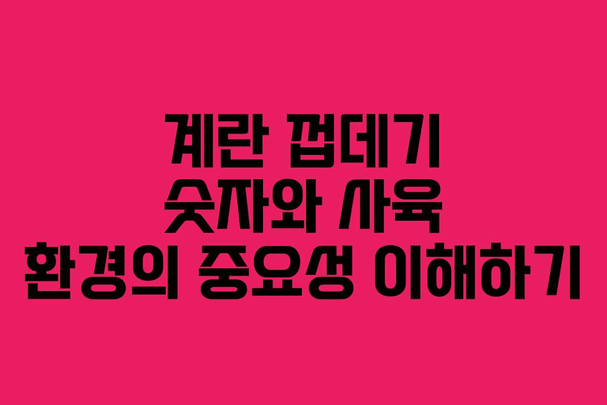 계란 껍데기 숫자와 사육 환경의 중요성 이해하기