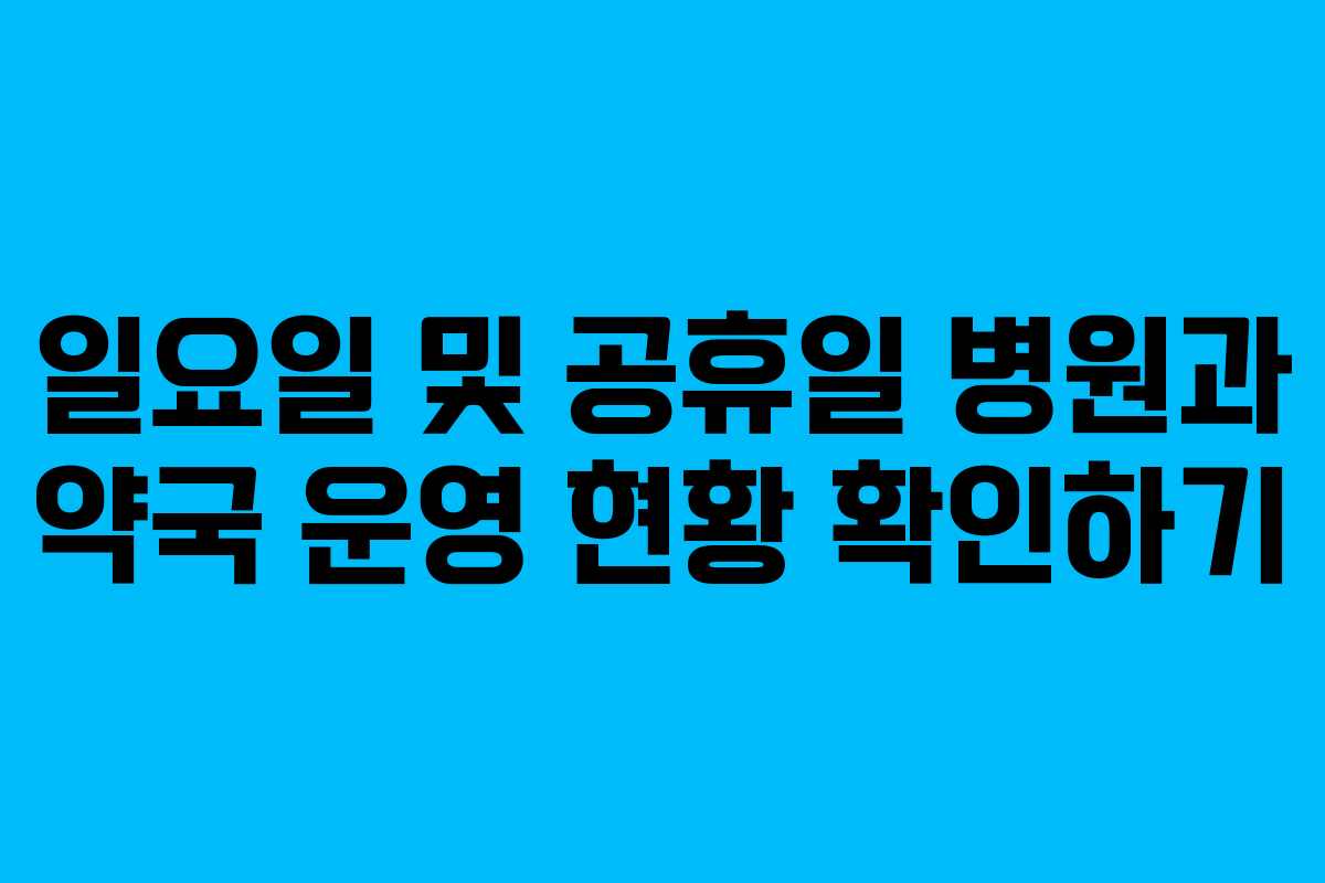 일요일 및 공휴일 병원과 약국 운영 현황 확인하기 일요일 및 공휴일 병원과 약국 운영 현황 확인하기