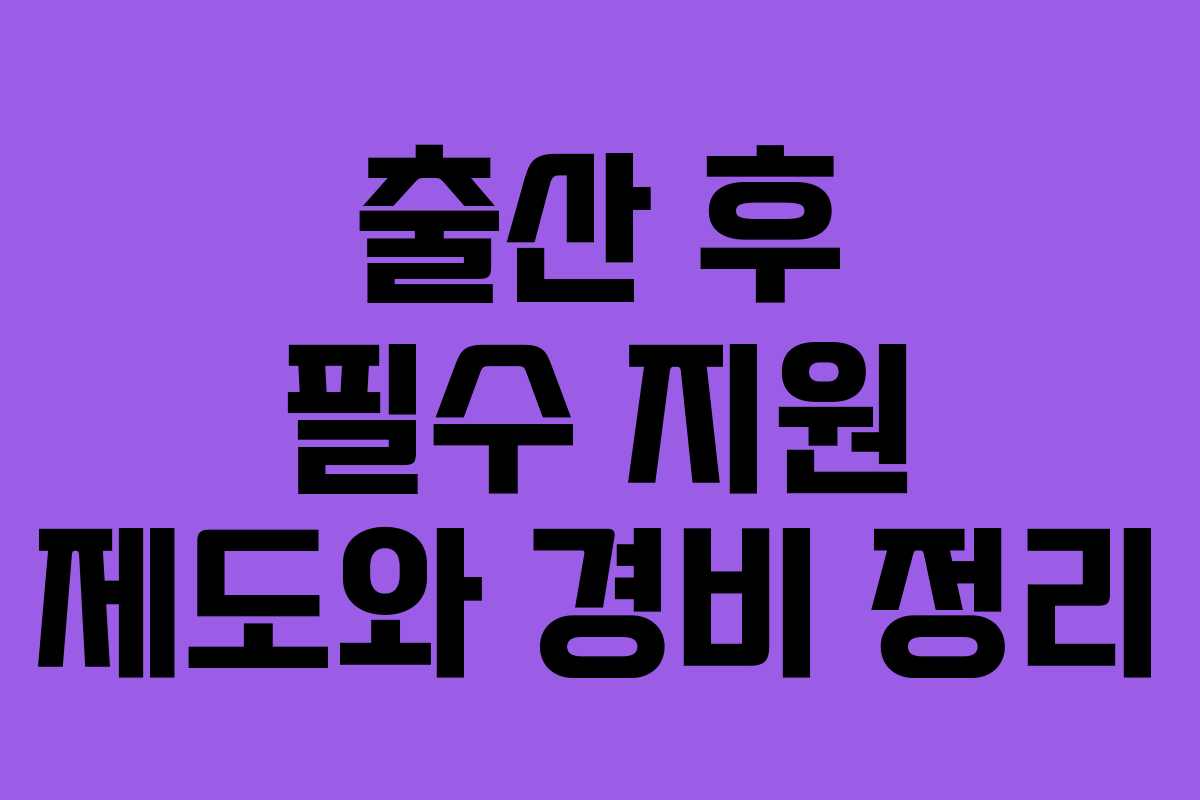 출산 후 필수 지원 제도와 경비 정리
