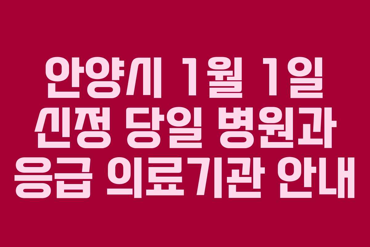 안양시 1월 1일 신정 당일 병원과 응급 의료기관 안내