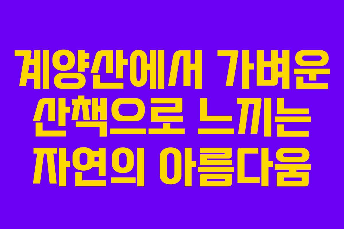계양산에서 가벼운 산책으로 느끼는 자연의 아름다움