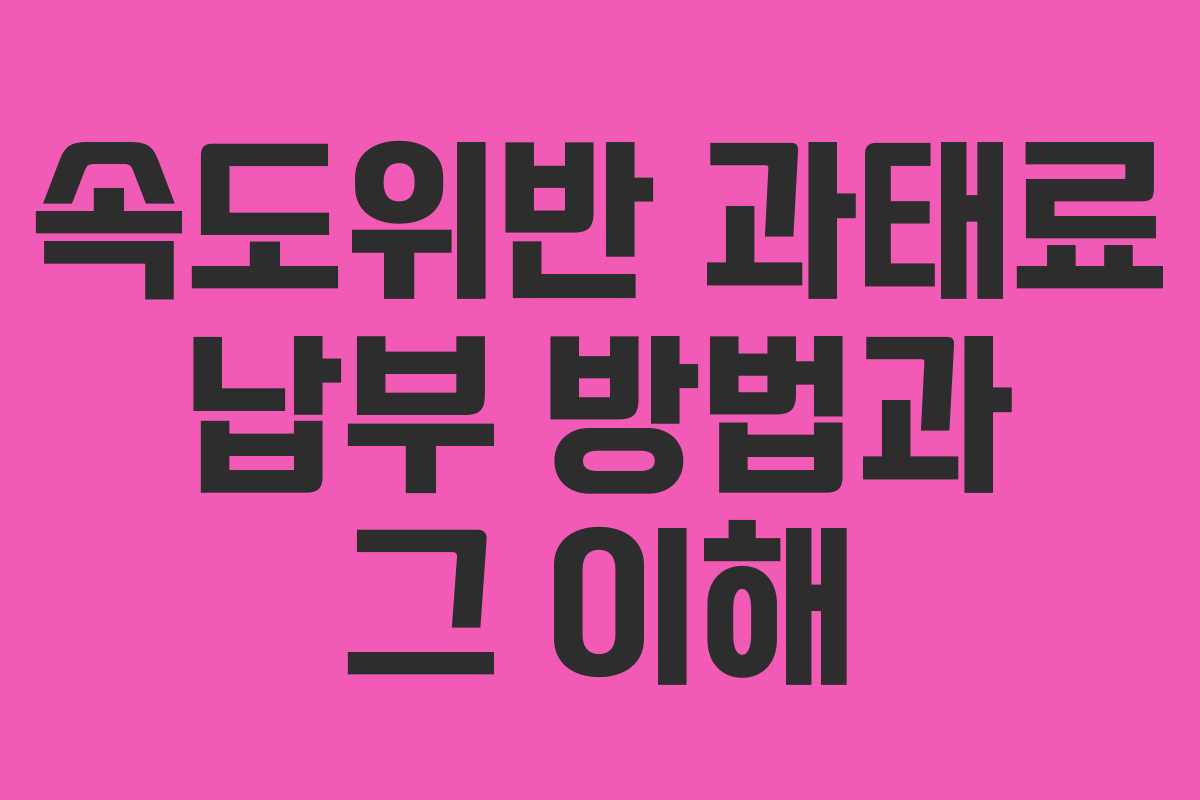 속도위반 과태료 납부 방법과 그 이해