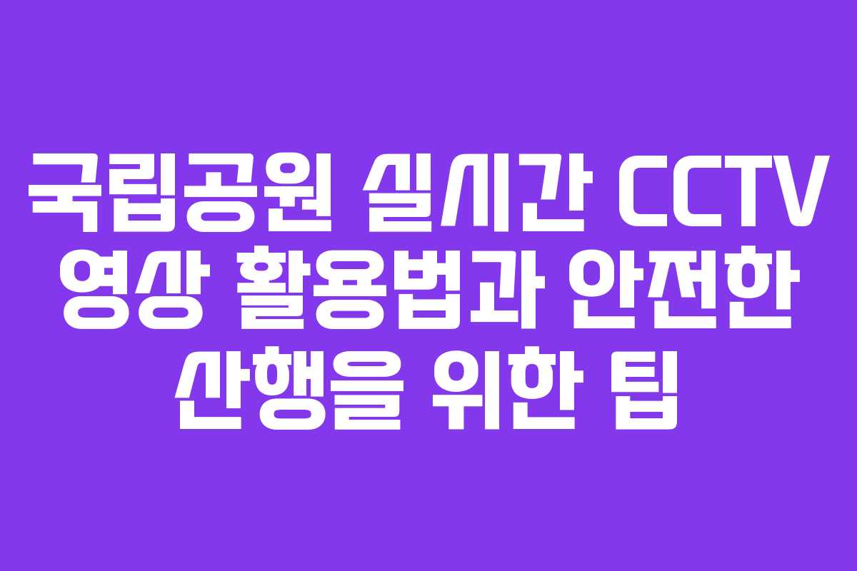 국립공원 실시간 CCTV 영상 활용법과 안전한 산행을 위한 팁 국립공원 실시간 CCTV 영상 활용법과 안전한 산행을 위한 팁