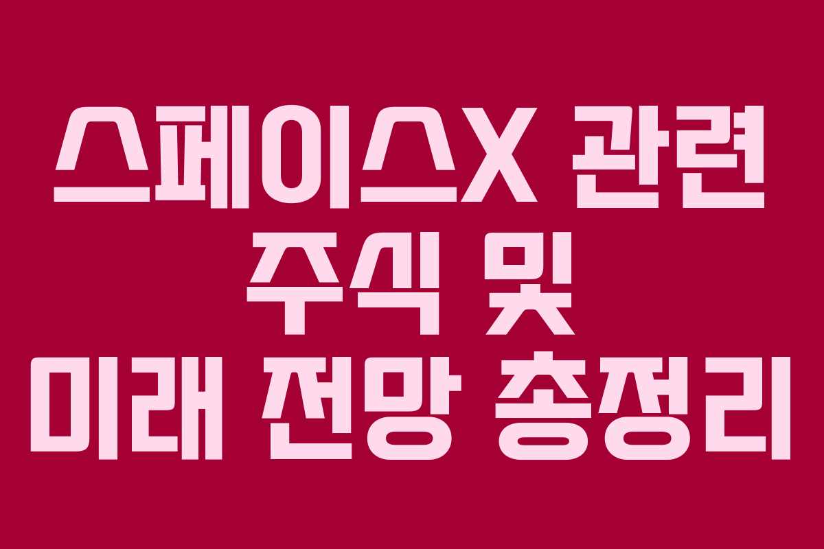 스페이스X 관련 주식 및 미래 전망 총정리