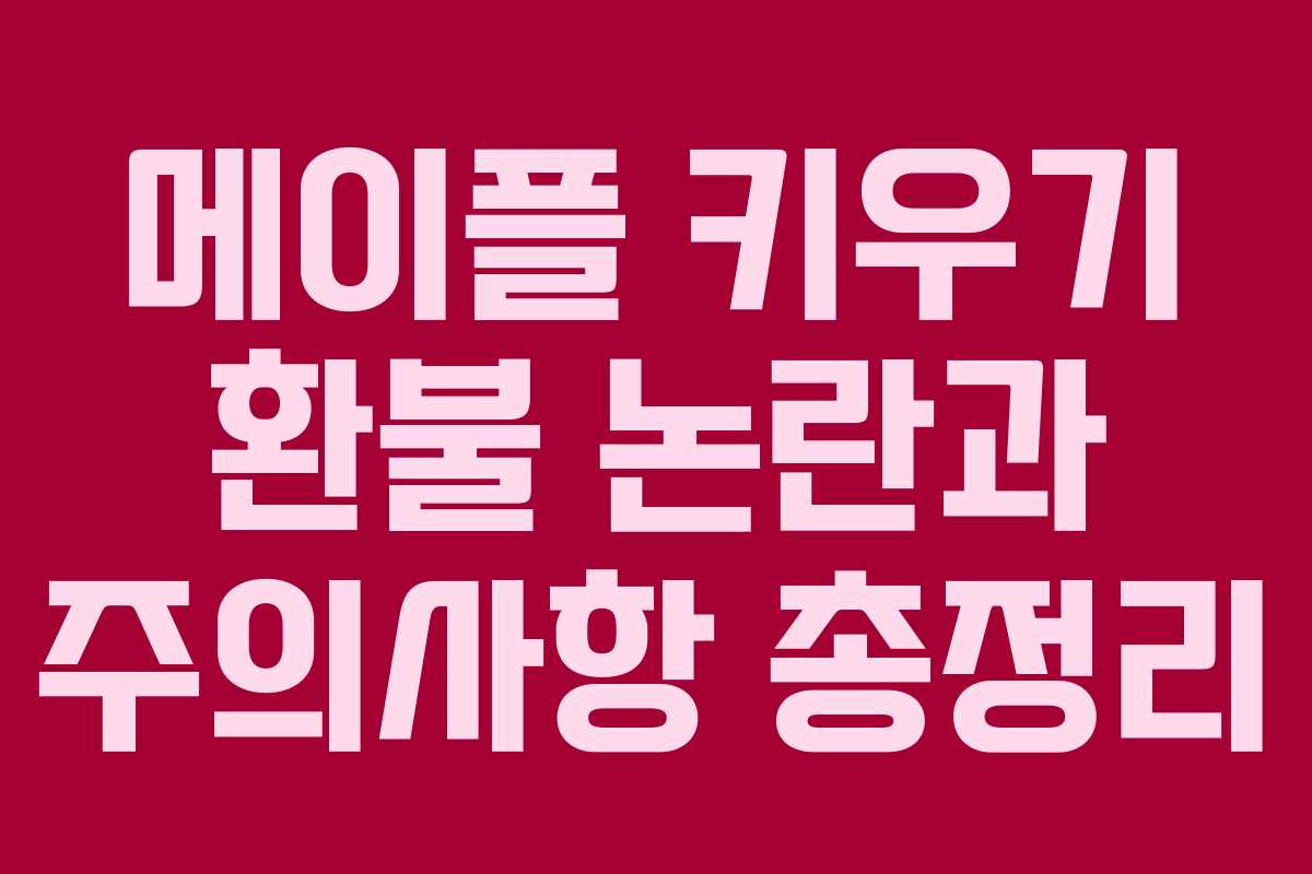 메이플 키우기 환불 논란과 주의사항 총정리