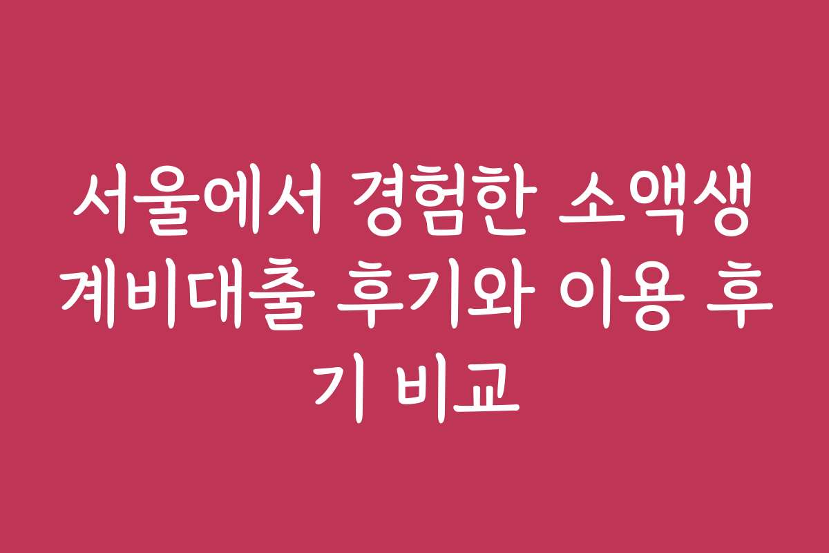 서울에서 경험한 소액생계비대출 후기와 이용 후기 비교