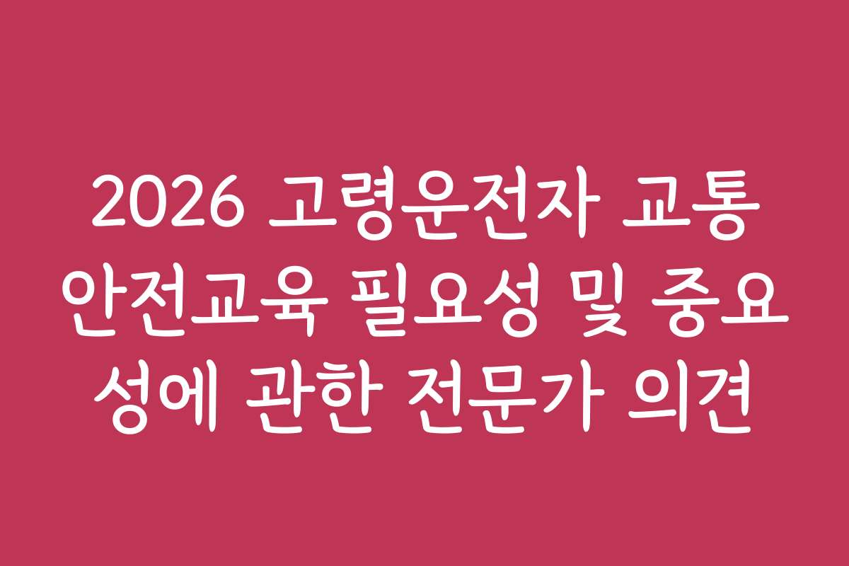 2026 고령운전자 교통안전교육 필요성 및 중요성에 관한 전문가 의견