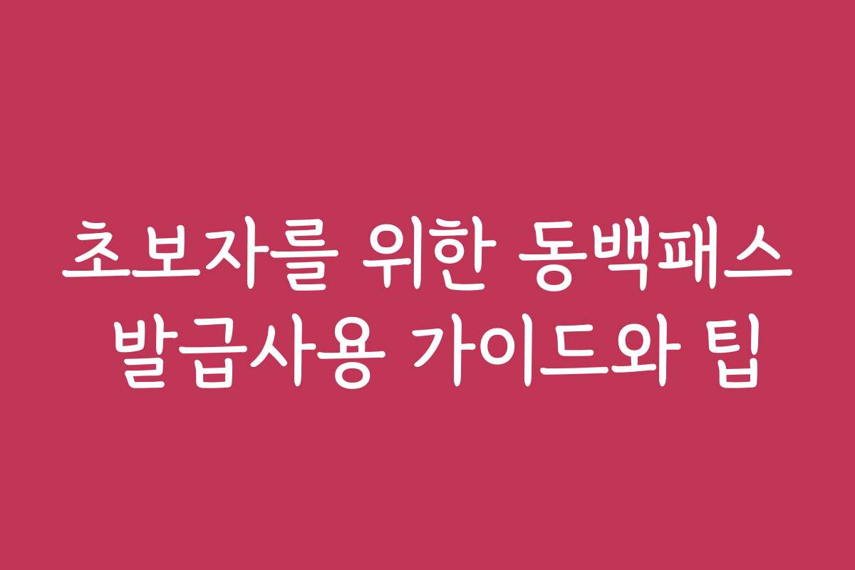 초보자를 위한 동백패스 발급사용 가이드와 팁