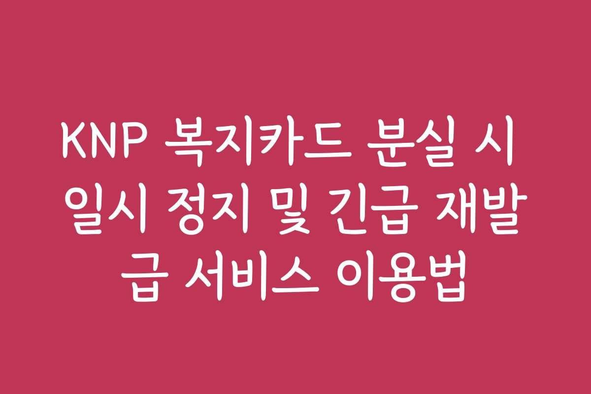 KNP 복지카드 분실 시 일시 정지 및 긴급 재발급 서비스 이용법