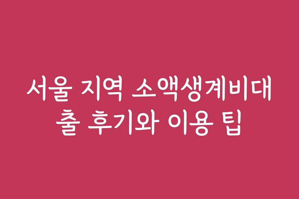 서울 지역 소액생계비대출 후기와 이용 팁