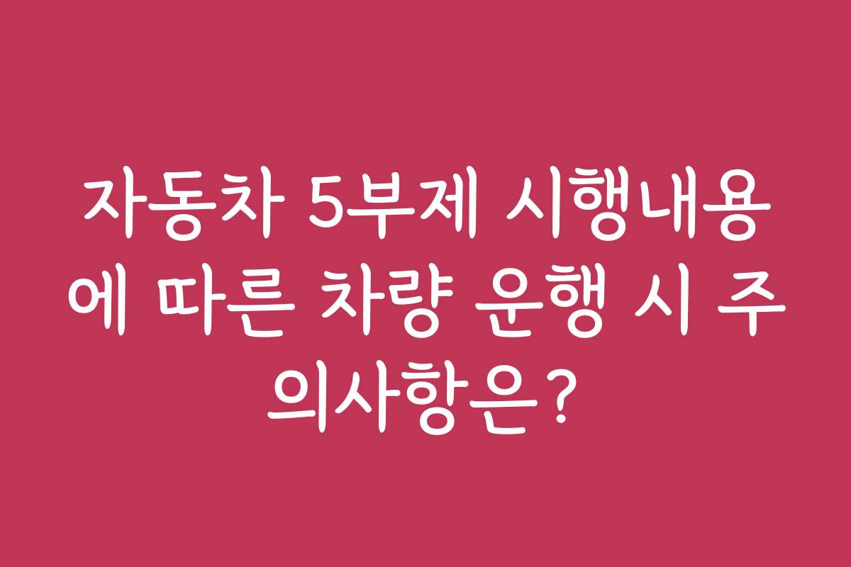 자동차 5부제 시행내용에 따른 차량 운행 시 주의사항은?