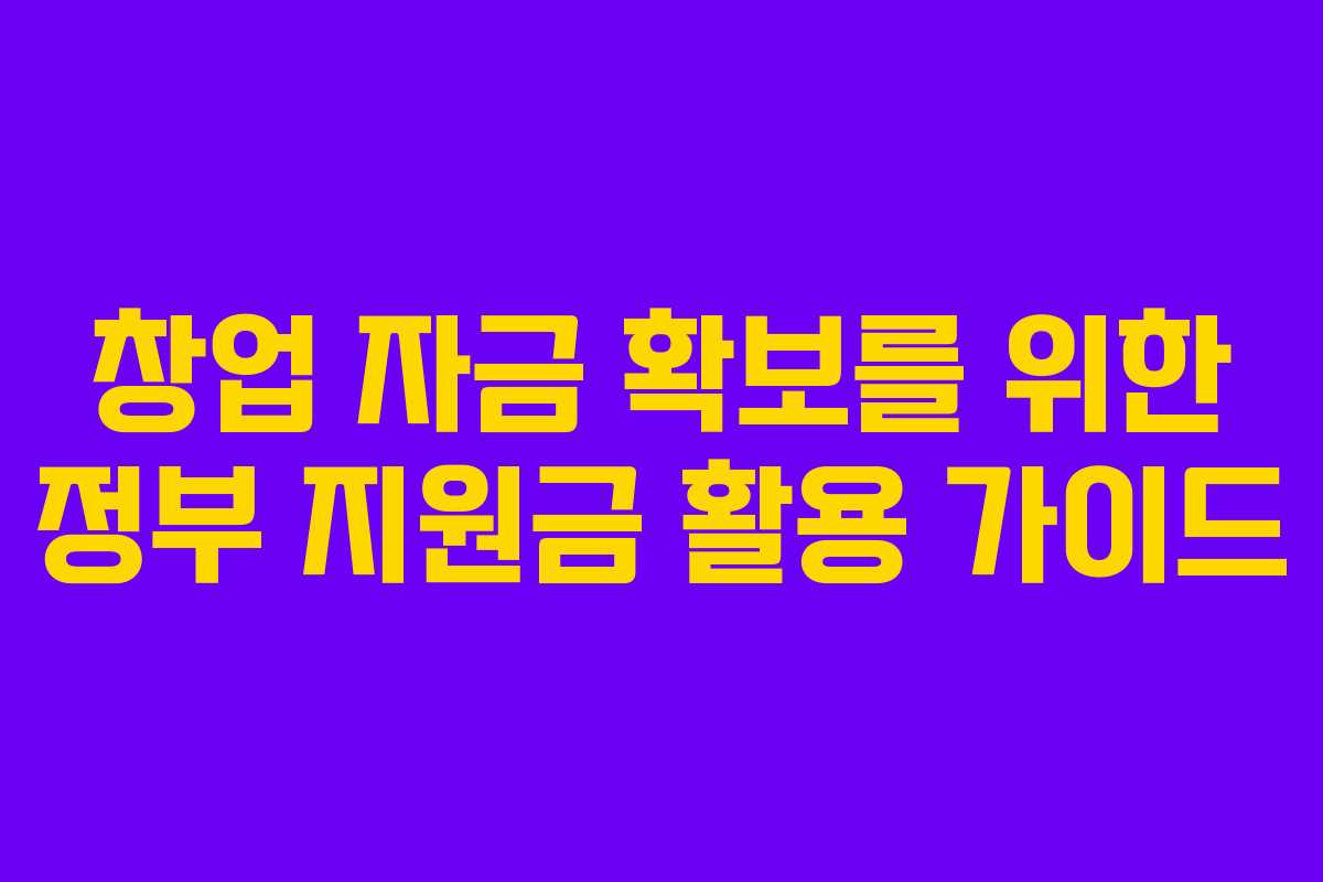 창업 자금 확보를 위한 정부 지원금 활용 가이드 창업 자금 확보를 위한 정부 지원금 활용 가이드