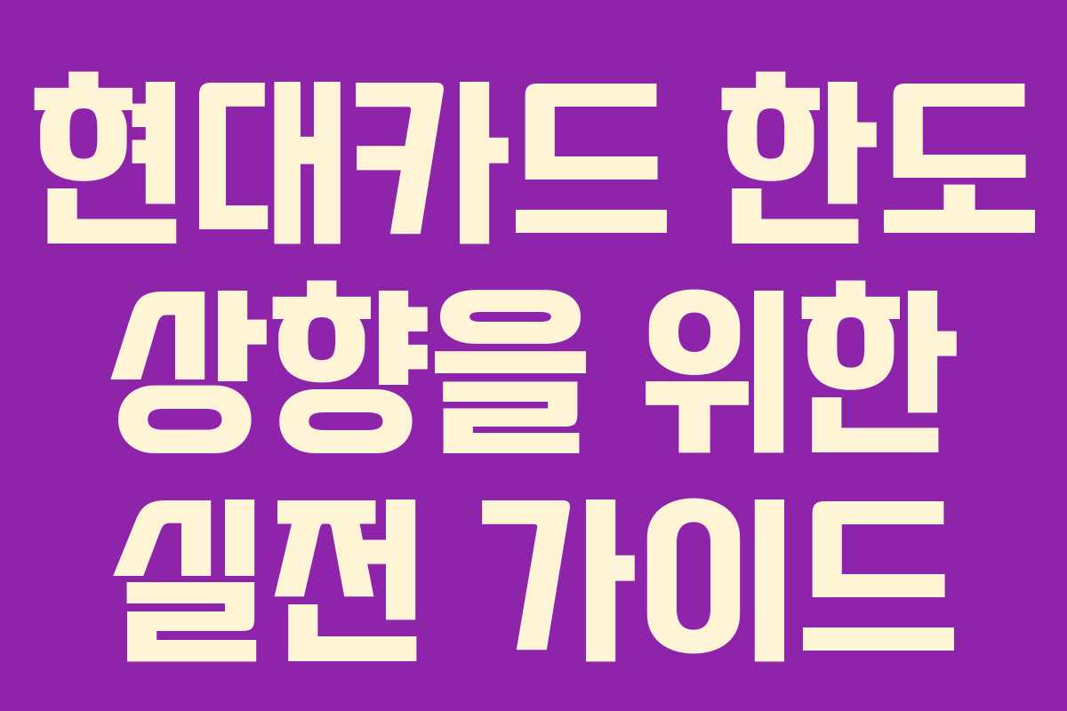 현대카드 한도 상향을 위한 실전 가이드 현대카드 한도 상향을 위한 실전 가이드