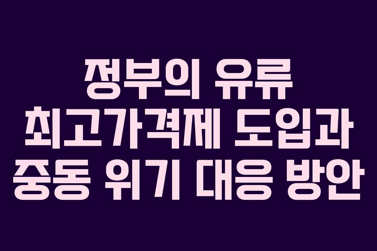 정부의 유류 최고가격제 도입과 중동 위기 대응 방안
