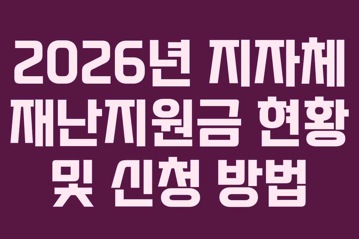 2026년 지자체 재난지원금 현황 및 신청 방법 2026년 지자체 재난지원금 현황 및 신청 방법
