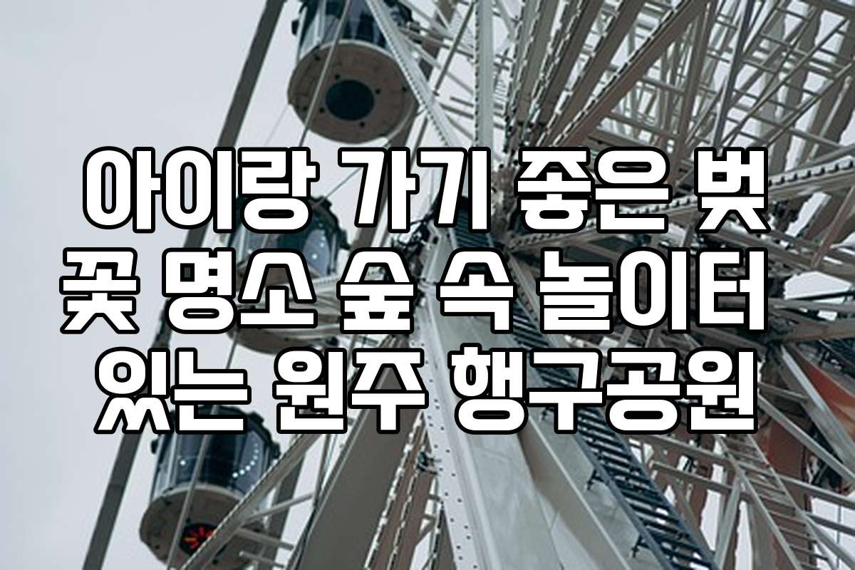 아이랑 가기 좋은 벚꽃 명소 숲 속 놀이터 있는 원주 행구공원