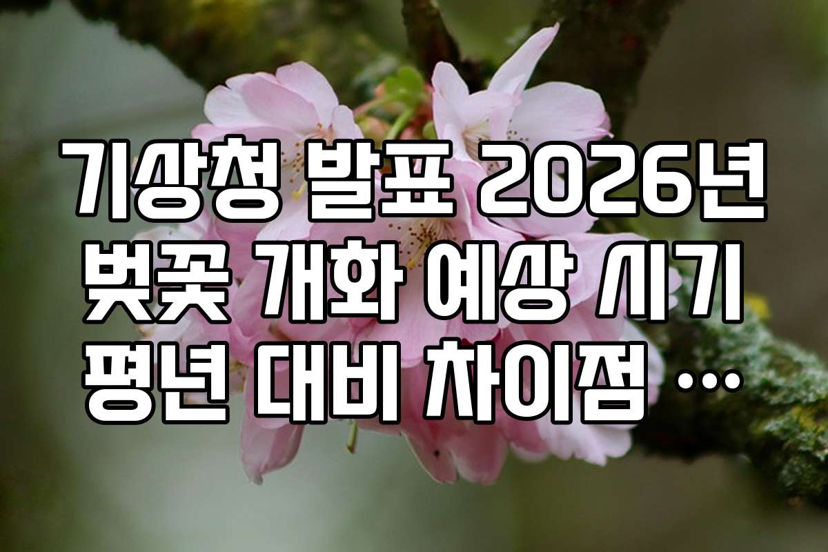 기상청 발표 2026년 벚꽃 개화 예상 시기 평년 대비 차이점 분석