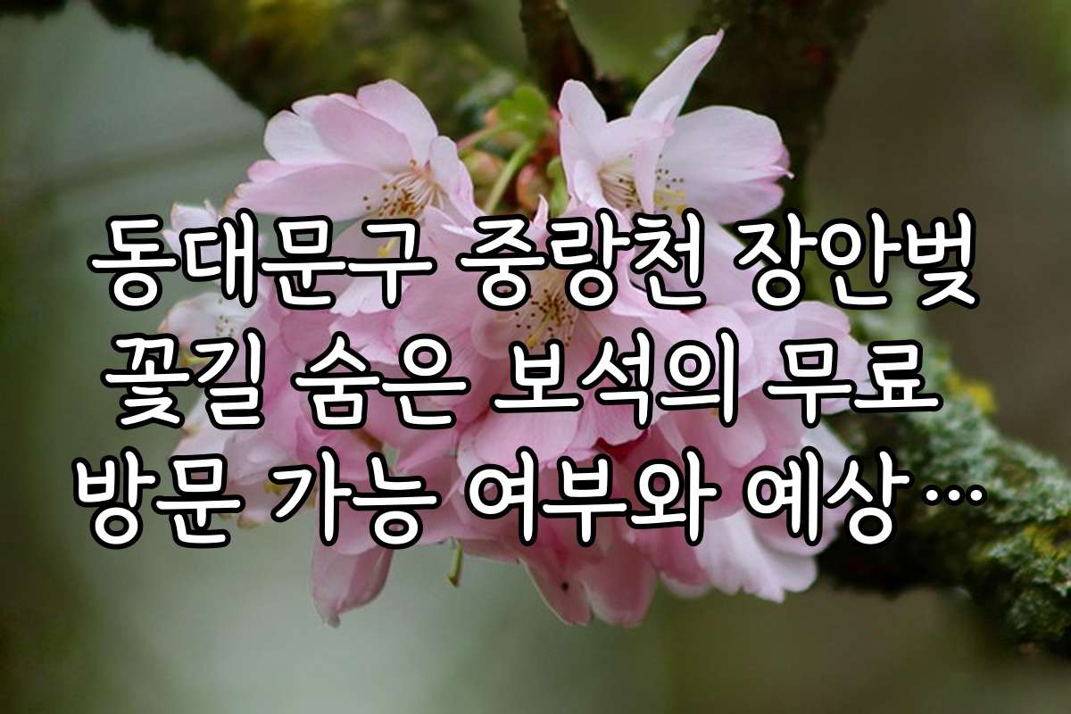 동대문구 중랑천 장안벚꽃길 숨은 보석의 무료 방문 가능 여부와 예상 비용